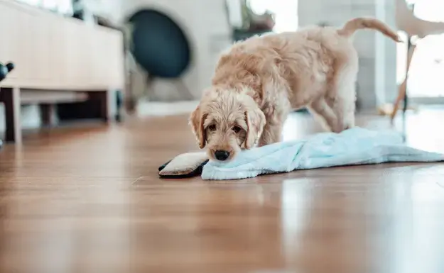 Clean Towel Factory - JUHAO