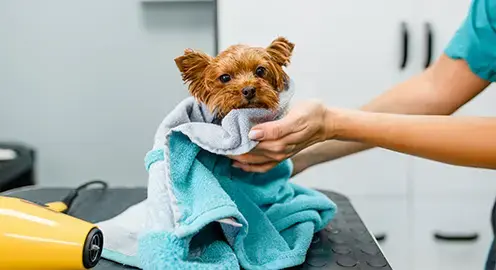 microfiber-pet-towel-JUHAO-640-640